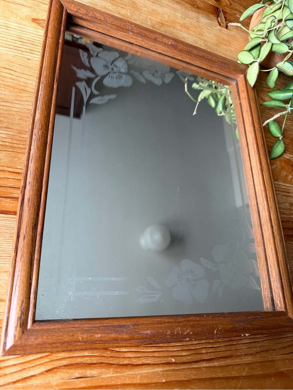 Vintage Framed Floral Etched Mirror Wall Decor